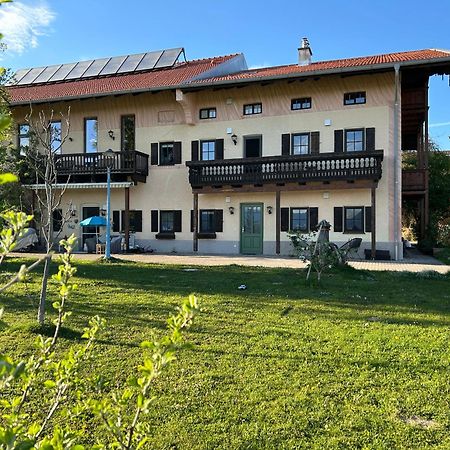 Loewenherz Homes Luxury Apartment - Stadt- Und Seenaehe - Fellnasenfreundlich - Lichtdurchflutet Stephanskirchen Eksteriør billede